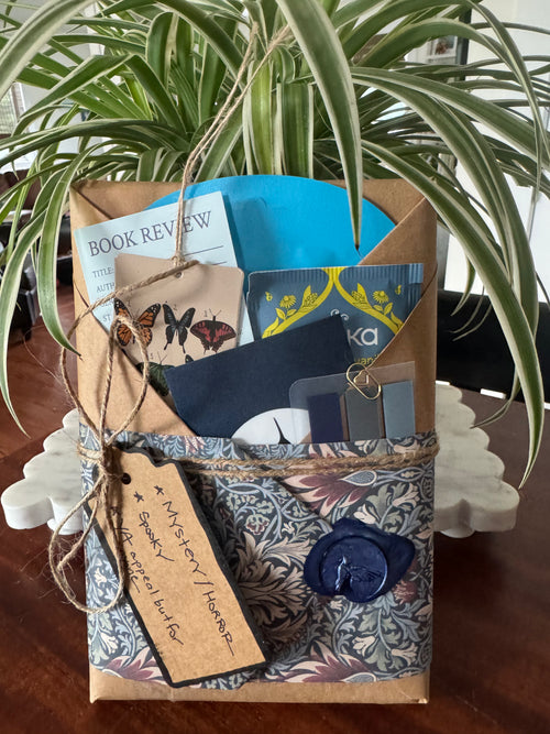 Blind Date with a Book – Backlist Gems | Curated Book Bundle | Birdie's Books